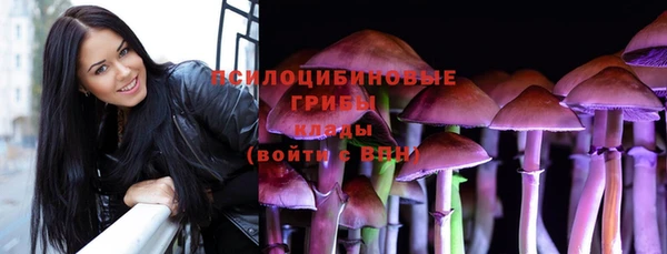 индика Пестово