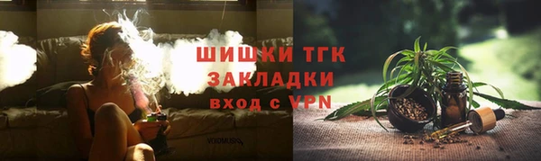 индика Пестово